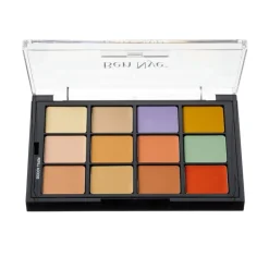 Ben Nye Concealer and adjuster palette
