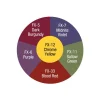 Ben Nye Master Bruise Wheel