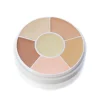 Ben Nye Total Conceal-All Wheel 6 colors