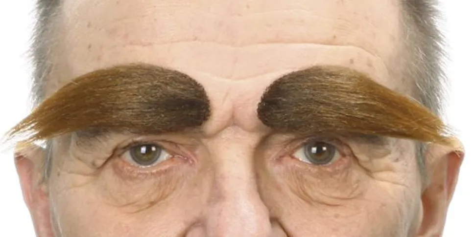 Brune Øyenbryn