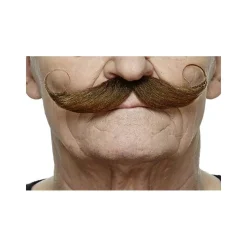 Brun Snurrebart