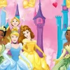 Disney Prinsesser Plastduk 120x180cm