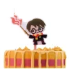 Harry Potter Kakelys, Harry Potter