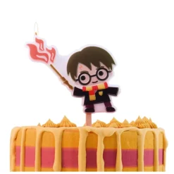 Harry Potter Kakelys, Harry Potter