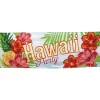 Hawaii Paradis Party Banner