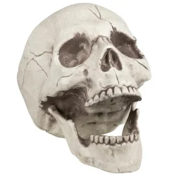 Hodeskalle Beveglig kjeve 16cm