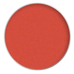Mehron Paradise Makeup AQ 7g