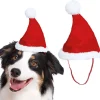 Nisselue til hund