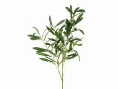 Olivengren, 91cm