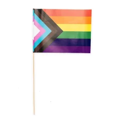 Pride progress papir flagg 20x30cm