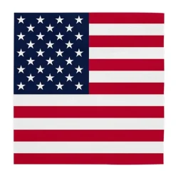 Servietter USA flagg, 20 stk