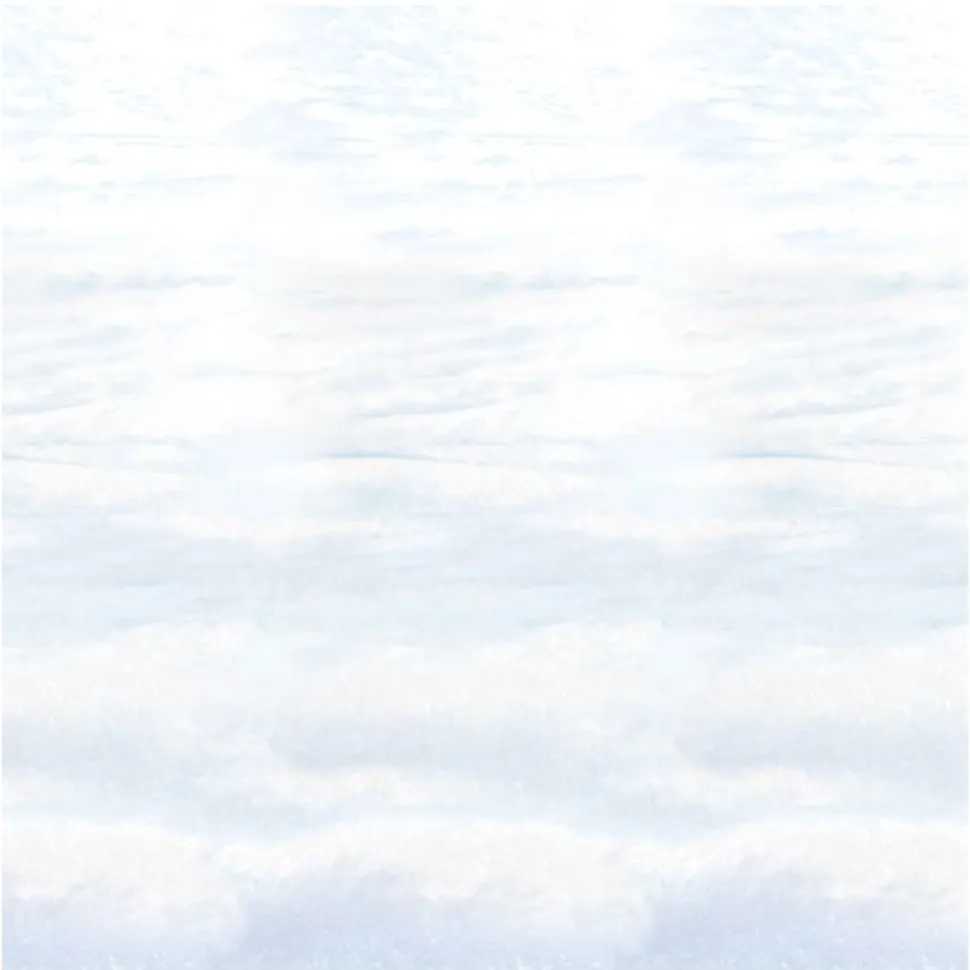 Veggdekorasjon, Snowscape